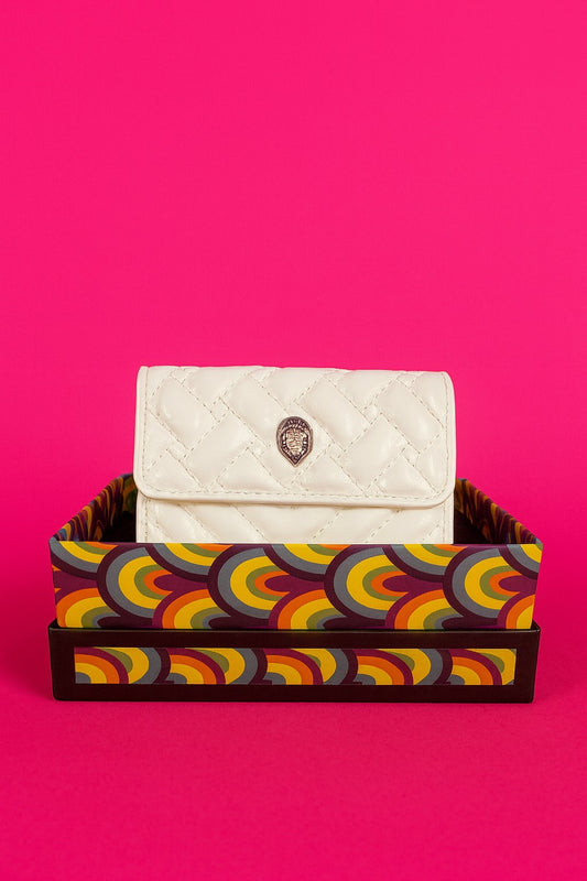 Aurora Glow Clutch
