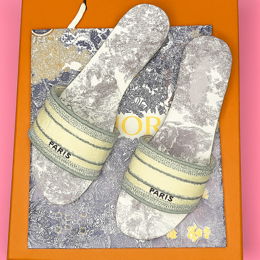 Paris Step Slides